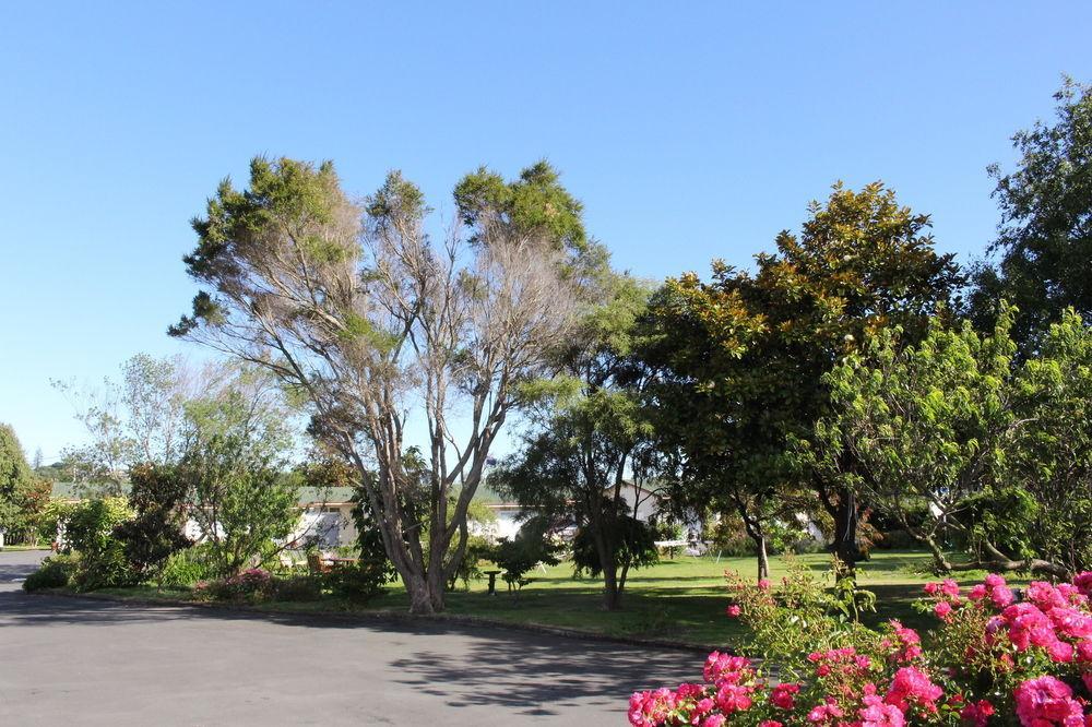 Astral Motel Whanganui Dış mekan fotoğraf